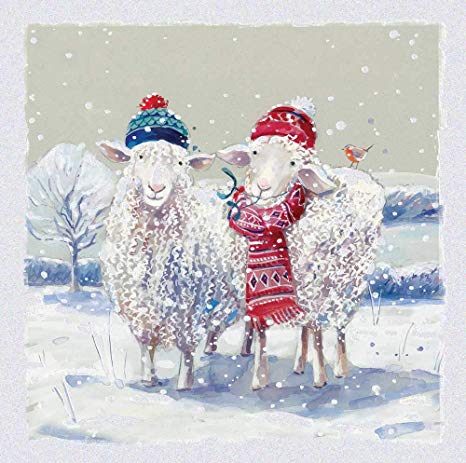 Sheep in winter hats and scarves.